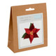 Poinsettia Felt Brooch Kit