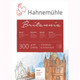 Hahnemuhle Britannia Watercolour Block | 300gsm 12 Sheets | Cold Pressed | 17x24cm