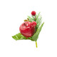 Berry Pick | Peakdale | Apple, Poinsettia and Berry