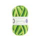 WYS Signature 4 ply - Seasons Collection | Winwick Mum | 882 Spring Green