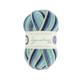 WYS Signature 4 ply - Seasons Collection | Winwick Mum | 878 Winter Icicles