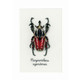 Vervaco | Counted Cross Stitch Kit | Red Beetle - Main Image
