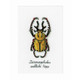 Vervaco | Counted Cross Stitch Kit | Golden Beetle - Main Image