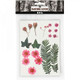 Pressed Flowers and Leaves | Light Red | 19pcs | Creativ Company - Main Image