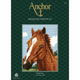 Anchor Tapestry Starter Kit | 18cm x 14cm | Brown Horse | MR929 | Packaging