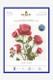 DMC Roses Cross-Stitch Kit | 14 Count