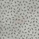 Botanicals Janet Clare Moda Fabrics | 16912-12 Vintage Grey - Main Image