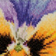 Thea Gouverneur Cross Stitch Kit Aida 10 x 10cm (3.9" x 3.9") | Pansy 453