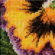 Thea Gouverneur Cross Stitch Kit Aida 10 x 10cm (3.9" x 3.9") | Pansy 453