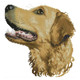 Heritage Crafts 14ct Aid Animal Portraits Golden Retriever | GOFA APGOO826