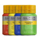 Winsor & Newton Galeria Acrylic 250ml Pots | Various Colours - Main Image