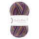 WYS Signature 4 Ply Knitting Yarns, 100g Balls | Zandra Rhodes | 1022 Bluebell Mist