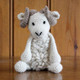 Bryn the Welsh Mountain Sheep