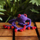 Toft Amigurumi Crochet Kits | Edward's Menagerie Animals | Kerry Lord | Gretchen the Red-eyed Tree Frog (Level 2 Easy) (NEW Box Packaging)