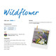 Wildflower Sock Knitting Pattern | WYS Signature 4 Ply Knitting Yarn DBP0160 | Digital Download - Pattern Information