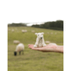 How to Crochet: FARM 25 Mini Menagerie Patterns Book by Kerry Lord