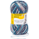 Regia Norway 6 Ply Sock Knitting Yarn in 150g Balls | 2789 Eidfjord - Main Image