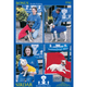 Dog Blanket and Coat Knitting Pattern | Sirdar Bonus DK 5792 | Digital Download - Main Image
