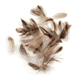 Natural Coloured Duck Feathers - various sizes | 5g bag | Trimits