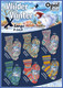 Opal Wilder Winter 8 Ply / DK Sock Knitting Yarn, 150g Balls | Various Shades