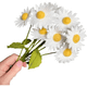 Felt Oxeye Daisies Flower Craft Kit - Main Image