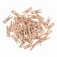Wooden Pegs