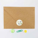 Ink and Snail Writing Sets, 12 Sheets of Writing Paper with 6 Envelopes + 6 Stickers | Wildflowers