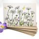 Ink and Snail, 5 Illustrated Notecards & Envelopes | Daisy