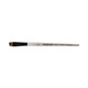 Daler Rowney Graduate Series Brushes - Angle Shader 1/2IN