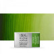 Winsor & Newton Professional Watercolours Whole Pan | Various Colours - Permanent Sap Green