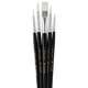 Pro Arte Brush Sets | Scholar Set 34WB | 5 Pieces