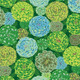 Freespirit Fabrics | August 2024 Collection | Kaffe Fassett | Japonica - Green