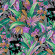 Freespirit Fabrics | August 2024 Collection | Kaffe Fassett | Jungle - Lavender 