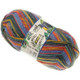 Opal Rainforest 20 (Regenwald 20 Years ) 4 Ply Sock Knitting Yarn | 5145 Zorro