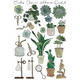 Craft Consortium | Botany Boutique | Rub-on Transfers