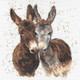 Bree Merryn Jack & Diane | Cross Stitch Kit