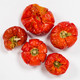 Mini Pumpkins - Dried | Pack of 5 | Floral Craft | Habico (HC0062)