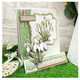 Stunnning Snowdrops | In Full Bloom Deo-Large Decoupage Range | Hunkydory