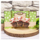 Fun at the Farm | Playful Pals Decoupage Topper Sheet Range | Hunkydory