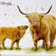 Bree Merryn | Paint By Numbers | Happy Highlands