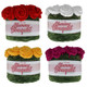 King Cole | Yummy Bouquet | 4 Beautiful Rose Colours