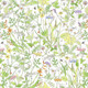 Wildflower Meadow on White | Mouseplay | Anita Jeram