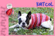 Adriafil Dog Jacket / Jumper Knitting Pattern Booklet with 4 Knitting Designs | Adriafil Unicol, Zebrino, Mirage & Knitcol