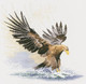 Flights of Fancy | Eagle in Flight | by John Clayton | Heritage Crafts - Main
