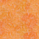 Fairy Frost Michael Miller Fabric | Tangerine - Main Image