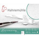Hahnemuhle Harmony Watercolour Paper Surfaced Sized - 50x65 | Hot Pressed