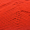 cardinal-136-cs.2.jpg cardinal-136-cs.2.jpg