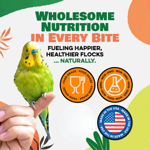 Bird Street Bistro Premium Seed Mix Small Parrot Food 11oz
 1