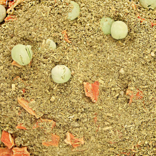 TOP`s Peas and Carrots Birdie Bread Mix 1.36lb 1