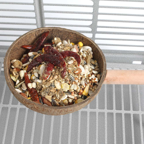 Parrot Perch and Feeding Cup - Medium